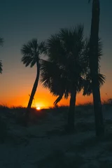 Photo sur Plexiglas Clearwater Beach, Floride Sunset. Palm trees on the ocean beach. Florida paradise. Clearwater Beach Florida. Photo good for travel agency, posters, prints. Summer Vacation. Palm tree silhouettes. Evening mood.