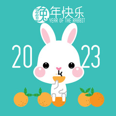 Obraz premium Happy Chinese new year 2023, the year of the rabbit zodiac. Little bunny greeting card, poster, banner, brochure, calendar. (Translation : Happy new year, Year of rabbit)