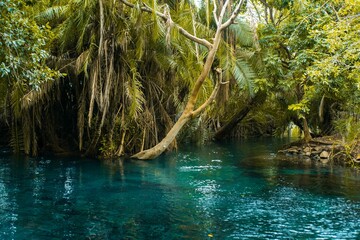 hot water pool, Chemka hot springs in Kilimanjaro 