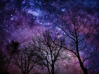 Obraz na płótnie Canvas night sky and field