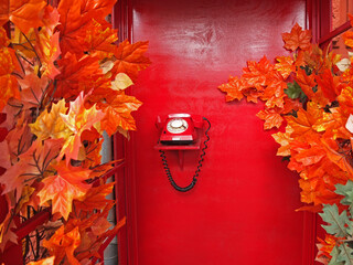 Vintage red telephone in a booth with autumn leaves