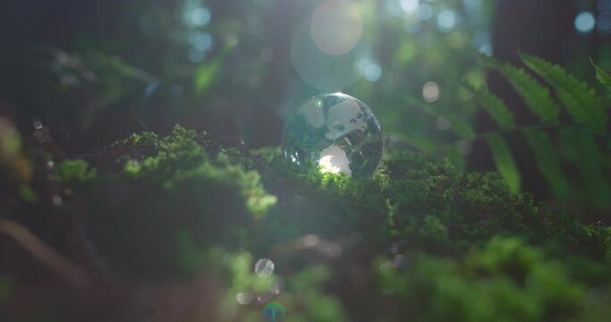 Crystal globe on moss in a forest