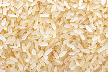 Rice background. Rice dry grains close up