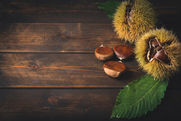 Autumn wooden background with  harvested chestnuts. Autumn mood. Copy space