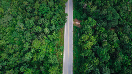Above aerial view of rural road in deep rain forest with green tree by drone