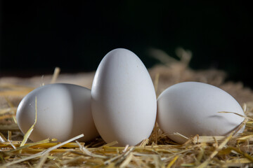 Natural eggs in the henhouse
