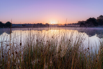 Swamp with ven at sunset in autumn landscape.