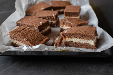 Chocolate sheet cake. Traditional german milk slice cake