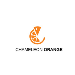 chameleon orange logo design concept © Hasyim Asngari