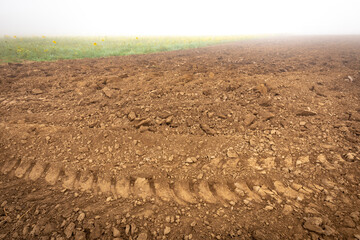 Campo arado en la niebla / bruma matinal de otoño