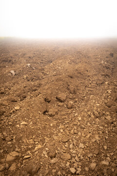 Campo arado en la niebla / bruma matinal de oto&ntilde;o