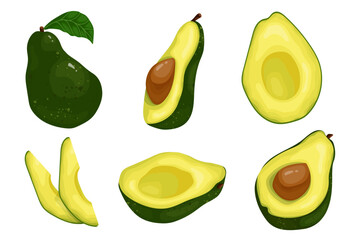 A set of ripe avocados and pieces of juicy berries. Cartoon vector graphics.