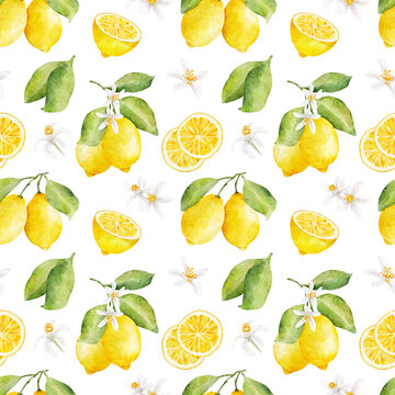 Watercolor seamless pattern with lemons and flowers isolated on white. Hand drawn watercolor illustration.