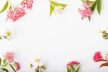 Autumn creative composition purple flowers on gray background. Fall, autumn background. Flat lay, top view