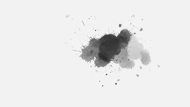 Ink splatters transition animation. Ink brush stroke transition. ink slow motion transition reveal. Abstract inkblot, splat, fluid art, overlay, alpha matte composition. ink spills onto white paper.