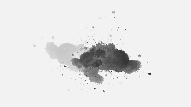 ink slow motion transition reveal. animation. Ink brush stroke transition. Ink splash. Abstract inkblot, splat, fluid art, overlay, alpha matte composition. ink spills onto white paper.