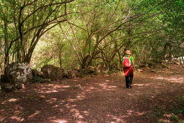 senderista realizando una ruta de senderismo por un sendero en el bosque