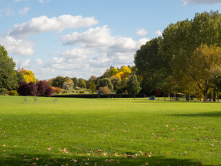 Beautiful colorful trees in the autumn park.