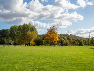 Beautiful colorful trees in the autumn park.