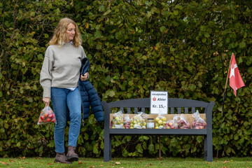 Langeland, Denmark A woman buys a bag of   fresh apples  by the side of the road for 15 Danish...