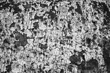 Empty Old Brick Wall Texture. Painted Distressed Wall Surface. Grungy Wide Brickwall. Grunge Red Stonewall Background. Shabby Building Facade With Damaged Plaster. Abstract Web Banner. Copy Space.