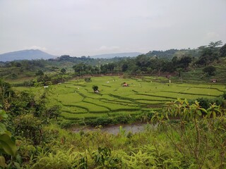 Fototapeta na wymiar landscape photo of rice fields in the hills.