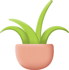 Green plant in pot isolated on transparent background. 3D illustration