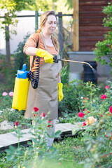 Happy gardener woman sprays a rose in her evening garden. Caring for flowers in the garden. Blurred...