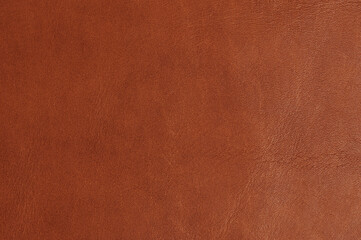 Brown shiny leather texture