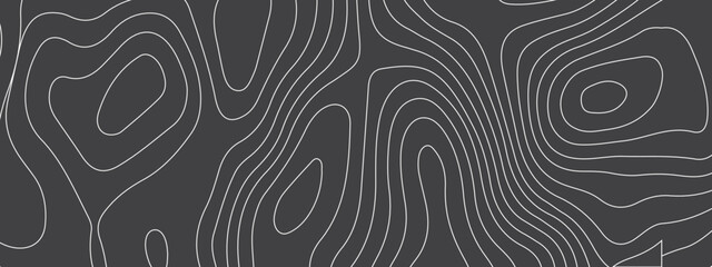 Black and white wave abstract topographic map contour, lines Pattern background. Topographic map and landscape terrain texture grid. Wavy banner and color geometric form. Vector illustration.