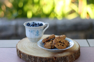 Plate of chocolate chip cookies and cup of blueberries, served in a garden. Selective focus.