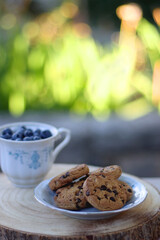 Plate of chocolate chip cookies and cup of blueberries, served in a garden. Selective focus.