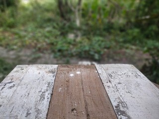 wooden bench in the garden