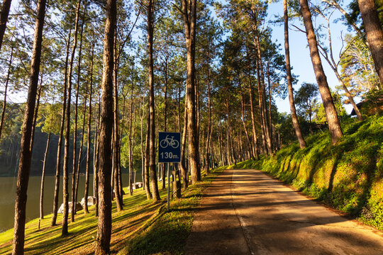 Sign of bike showing the distance to the PangUng Lake with beautiful morning in sunlight pierce through the forest at PangUng Lake in Mae Hong Son, north of Thailand.