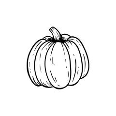 Hand drawn pumpkin sketch isolated on white background. Vegetable in cartoon style. Ink drawing. Vector illustration for menu, farmers markets, print.