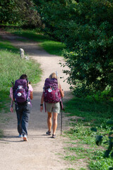 Fototapeta premium A group of pilgrims walks in the second stage of the Spiritual Variation of the Portuguese Camino de Santiago. Place of Cabanelas, Ribadumia in the Armenteira to Vilanova de Arousa stage.