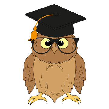 A cute owl with glasses and a graduation hat on a white background. For your design.