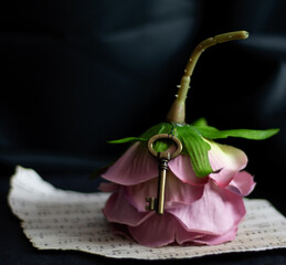 Flowers and Keys