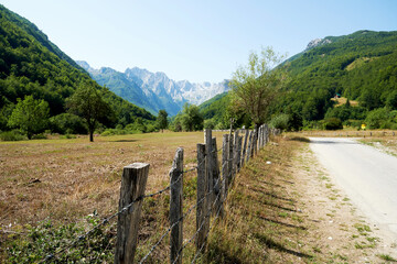 Fototapeta na wymiar Country road between mountains in Montenegro. Beauty summer nature backgrounds