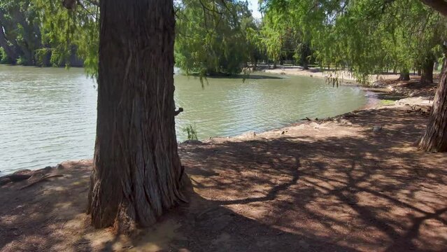 aerial footage of an African American man walking through a gorgeous summer landscape at Lake Evans at Fairmount Park surrounded by rippling water and lush green trees, grass and plants in Riverside