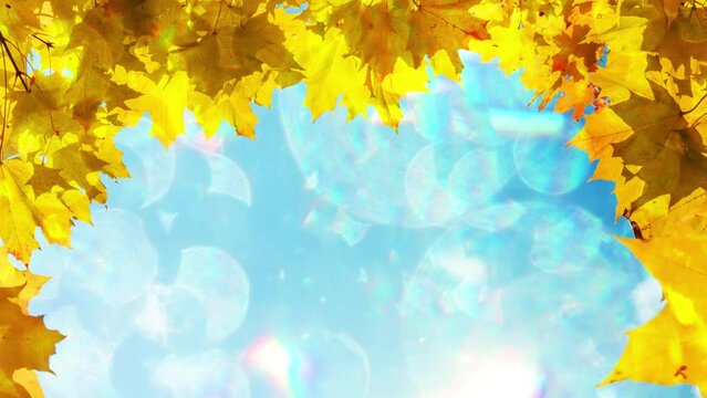 Sparkling frame of autumn colorful maple leaves on blue sky with iridescent highlights. Slow motion. Overlay effect. Sunshine weather. Beautiful meditative nature. Trendy concept design.
