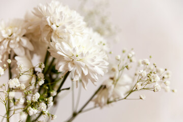 Still life of  white flowers
