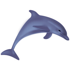dolphin isolated on transparent background vector
