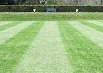 mowed lawn with stripes leading to a bench on a raised bank with green hedge behind