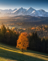 Autumn, a view of the snow-capped Tatra Mountains, a panorama of the mountains and colorful trees...