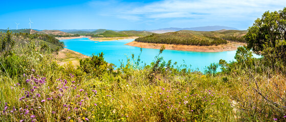 Panoramic view over the artificial lake Albufeira de Odeáxere in summer with thistle flowers and...