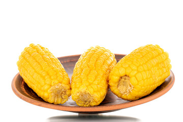 Three fragrant boiled corn on a clay plate, macro, isolated on white background.