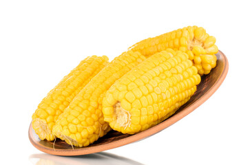 Three fragrant boiled corn on a clay plate, macro, isolated on white background.