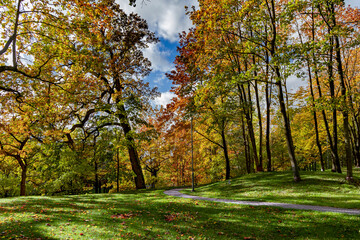 Fototapeta premium Beautiful autumn parks with fall color foliage bright autumn day in Riga. Latvia. Autumn landscape, autumn postcard. Natural beauty in nature.