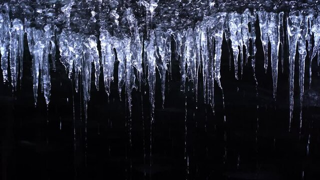 Melting icicles on cave ceiling